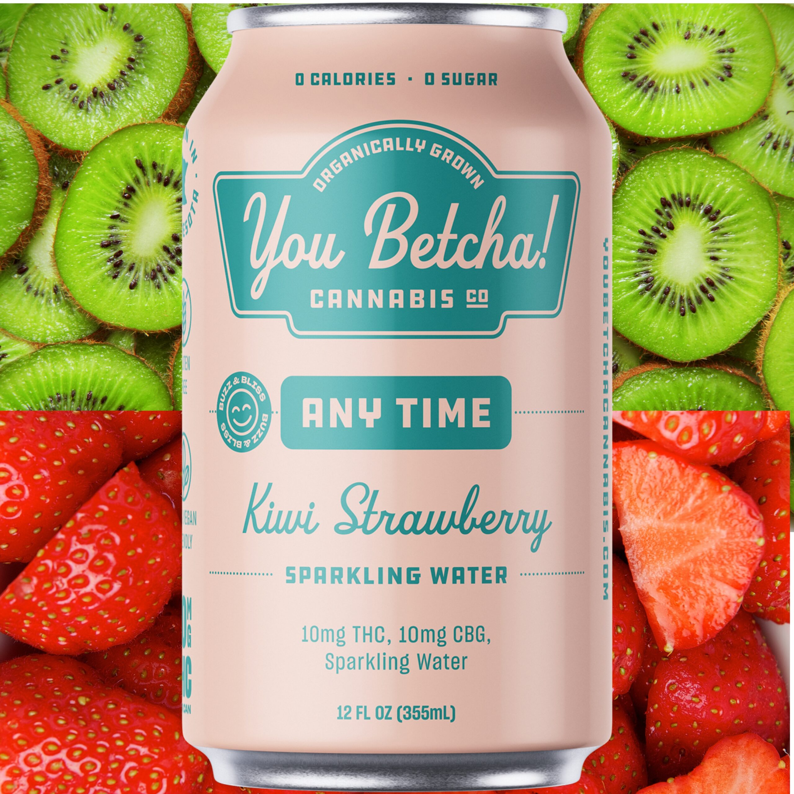 Any Time Seltzer – 4 pack – Kiwi-Strawberry