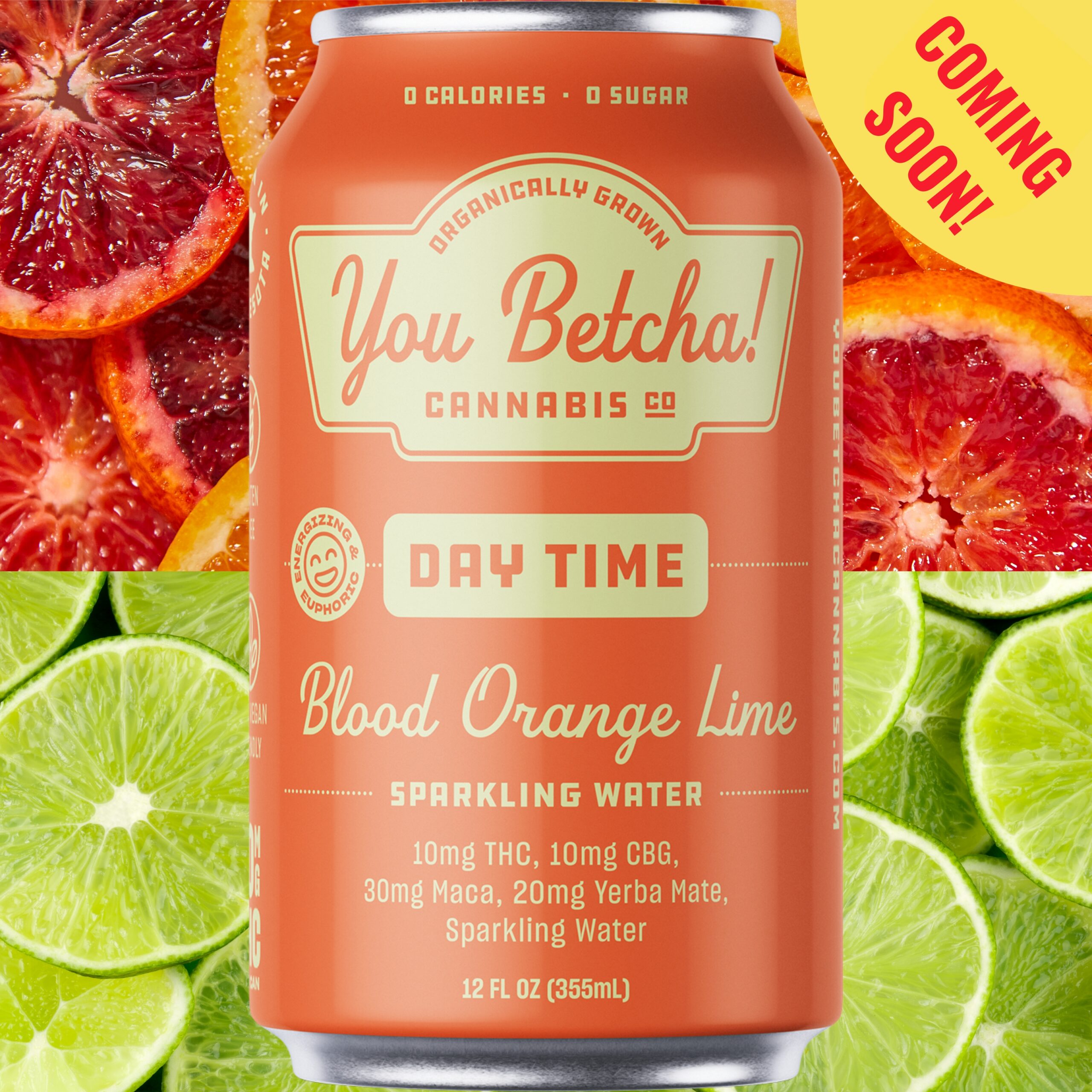 COMING SOON! NEW & IMPROVED Day Time Seltzer – 4 pack – Blood-Orange-Lime